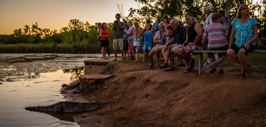 Resident Freshwater Crocodile at Kununurra Caravan Park