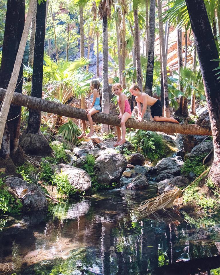 Families at Zebedee Springs 