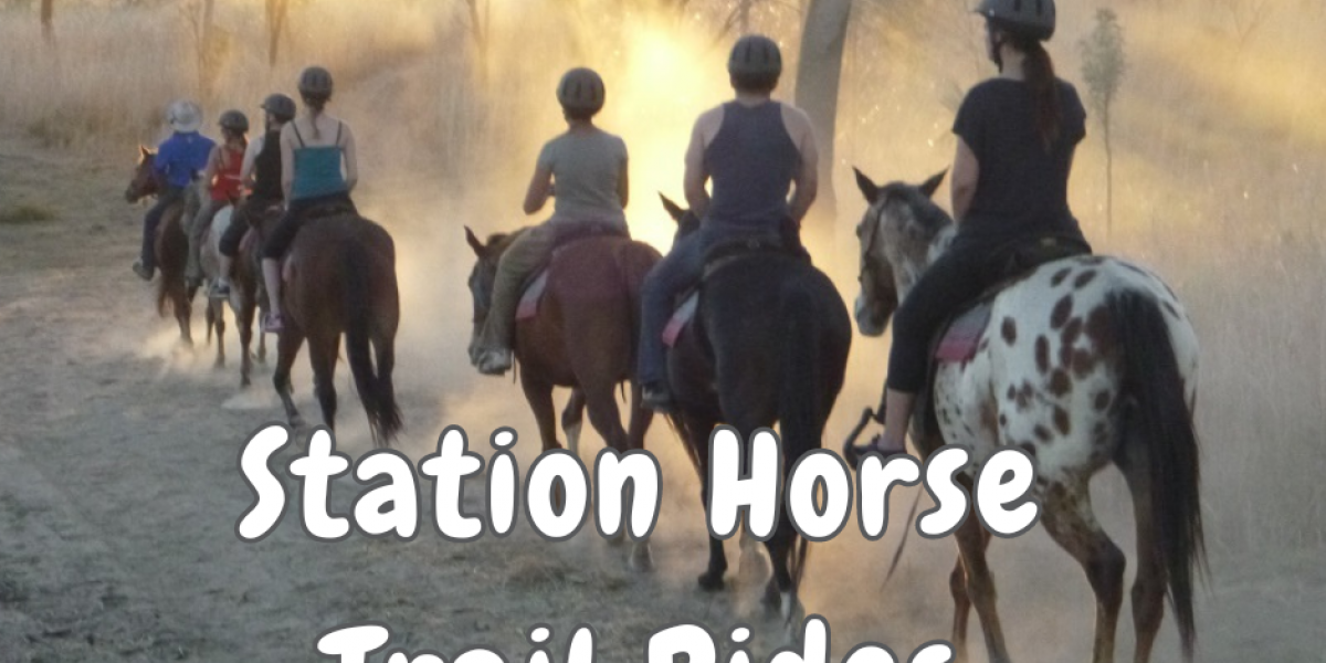 Station Horse Trail Rides in the Kimberley