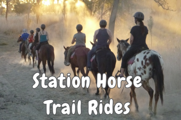 Station Horse Trail Rides in the Kimberley